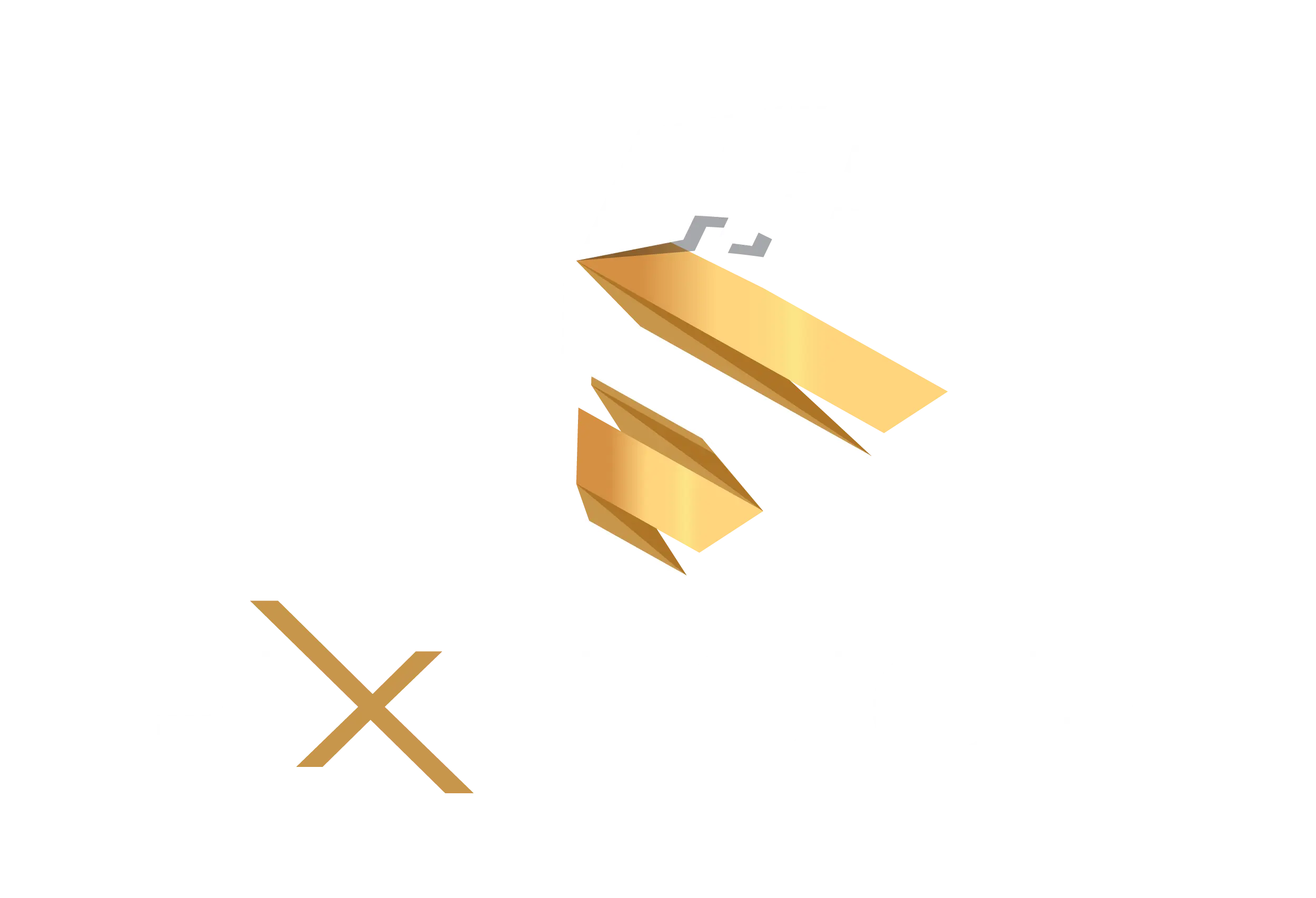 logo-pixelsior